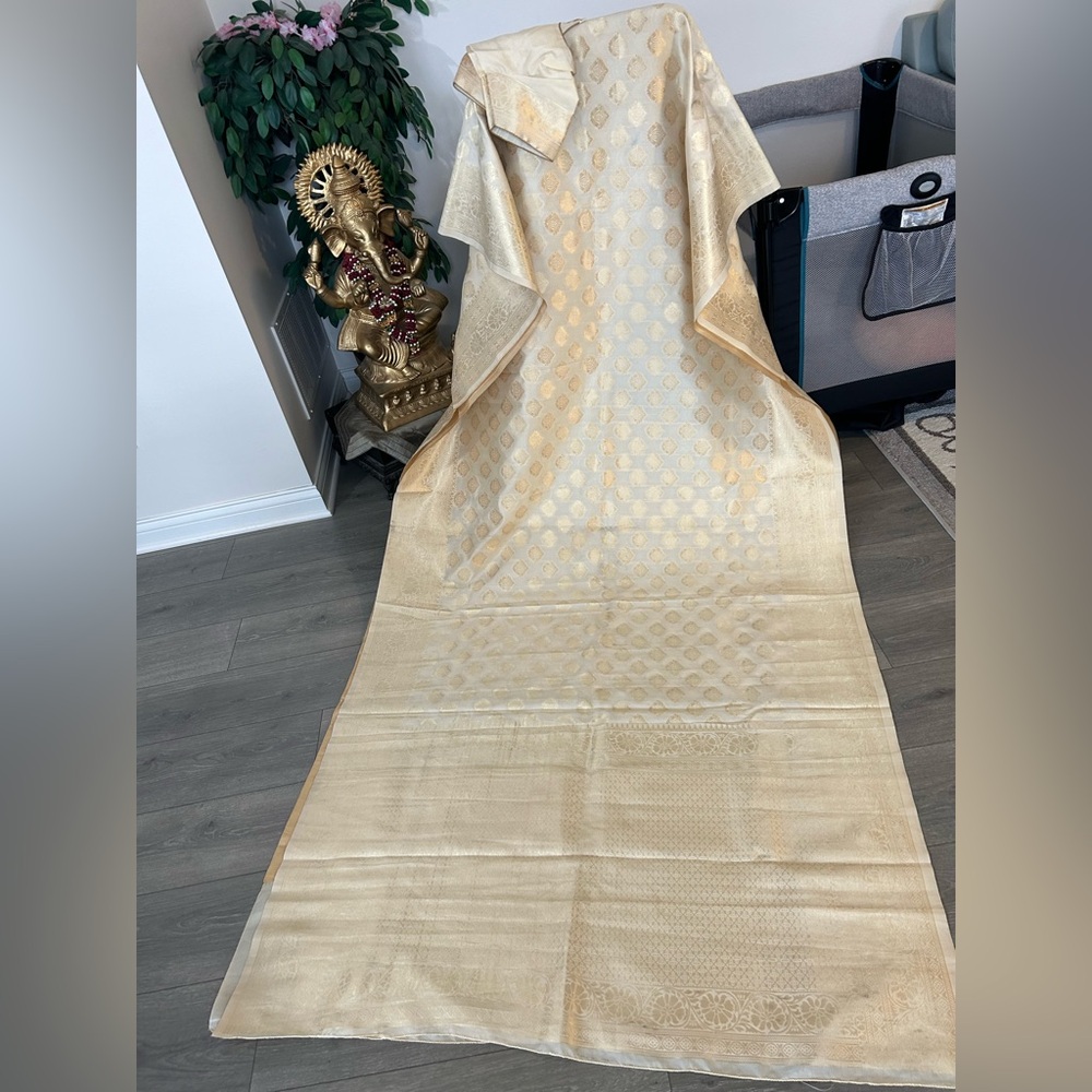 Indian  woman Saree Pakistani Sari Bollywood